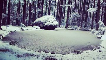 Amazing 4 Days 3 Nights Manali Hill Stations Tour Package