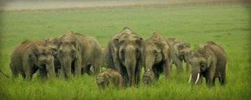 9 Days 8 Nights 3N Nainital Family Vacation Package