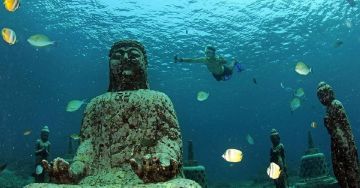 Ecstatic 6 Days Delhi to 5N Bali Wildlife Trip Package