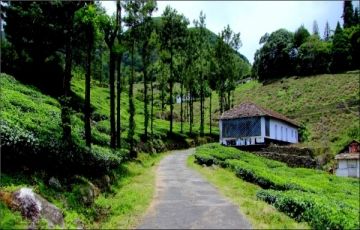 Memorable 6 Days 5 Nights Munnar Hill Stations Trip Package