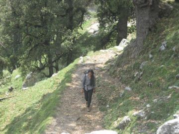 Pleasurable 2 Days Mcleod Ganj to Dharamkot Honeymoon Trip Package