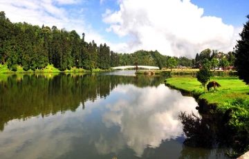 Beautiful 6 Days 5 Nights Darjeeling and Gangtok Tour Package