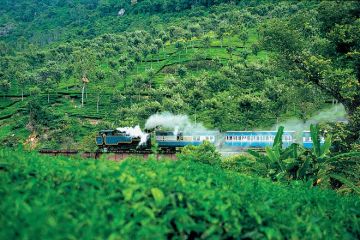 Memorable 7 Days Bengaluru to OOTY Honeymoon Holiday Package