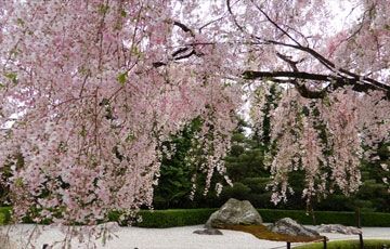 Japan 4 Days/3 Nights  Tour  (3 Days in Tokyo) (2 PAX & Abov