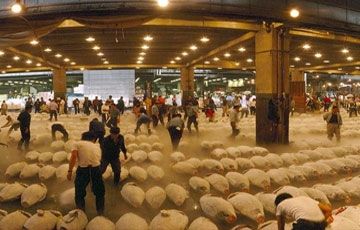 Beautiful 4 Days 3 Nights Tokyo Vacation Package