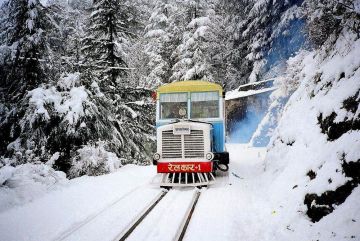 Amazing Shimla Friends Tour Package from Delhi