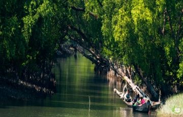 2 Days 1 Night Kolkata to Sundarban Tour Package