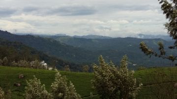 4 Days 3 Nights All Kerala Holiday Package