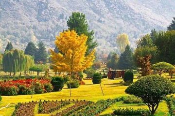 Memorable 4 Days 3 Nights Kashmir Golf Course Trip Package