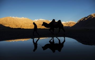 6 Days Leh to Pangong Honeymoon Trip Package