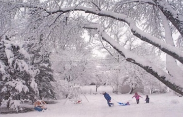 Heart-warming 6 Days Delhi to Manali Trip Package