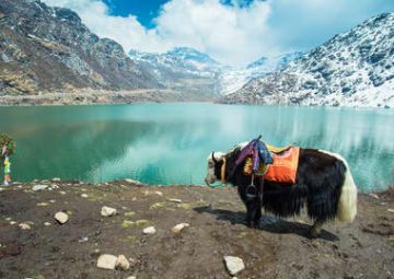 Beautiful 6 Days Gangtok Culture Vacation Package