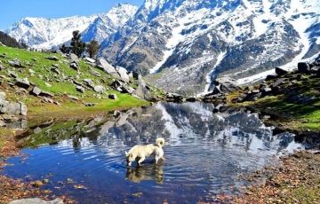 Beautiful 2 Days Dharamshala, Mcleodganj and Triund Weekend Getaways Tour Package