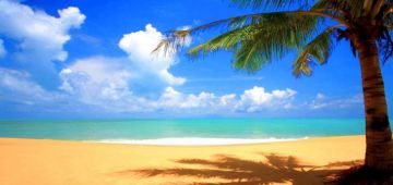 Heart-warming NORTH GOA NORTH GOA SOUTH GOA SOUTH GOA Tour Package for 2 Days 1 Night from GOA