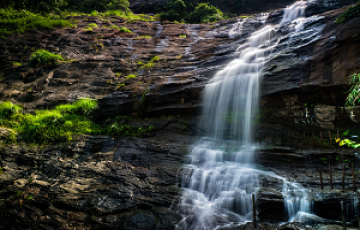 Amazing 8 Days Kochi to Cochin Friends Trip Package