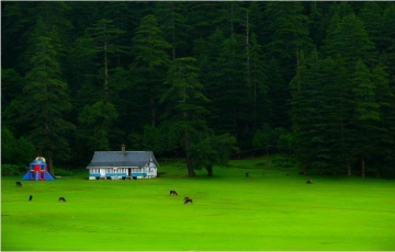 5 Days Dharamshala and Dalhousie Vacation Package
