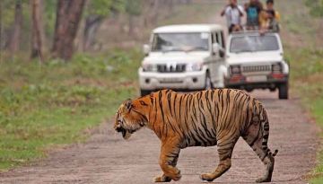 Agra, Jaipur, Ranthambore and Delhi Friends Tour Package from Delhi