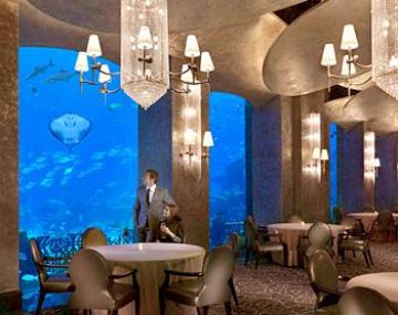 Memorable Dubai Cruise Tour Package for 6 Days from Delhi