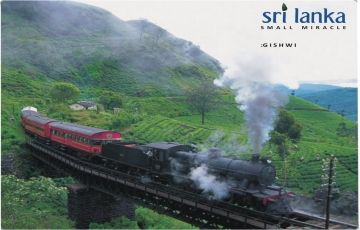 Magical 5 Days 4 Nights Colombo, Kandy and Nuweraeliya Tour Package