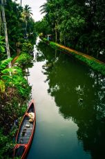 Pleasurable 7 Days Kochi to Alleppey Holiday Package