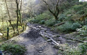 Amazing 3 Days Kasol to Kasol-Chalaal Friends Holiday Package