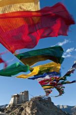 Best 7 Days Pangong Lake Holiday Package