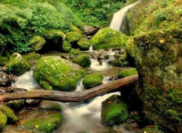 4 Days 3 Nights Delhi to Tosh Waterfall Trip Package