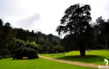 Amazing 4 Days 3 Nights Ooty Family Vacation Holiday Package