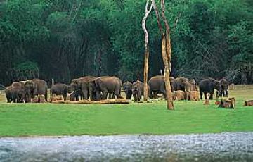 6 Days 5 Nights Kerala, India to Thekkady Trip Package