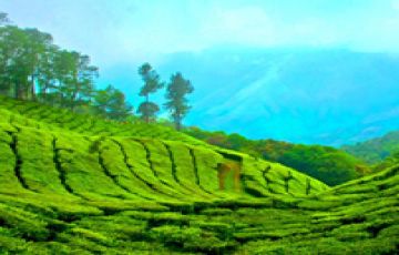 Best 7 Days 6 Nights Munnar Trip Package
