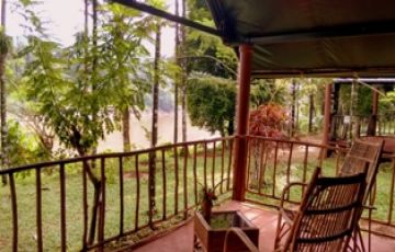 3 Days Cochin with Thattekad Luxury Tour Package