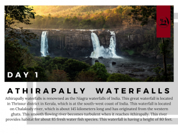 9 Days 8 Nights Kochi to Kovalam Romance Holiday Package