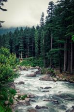 5 Days 4 Nights Manali, Kullu and Rohtan Luxury Vacation Package