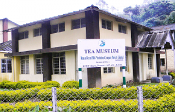 Amazing 8 Days Kochi to Cochin Friends Trip Package