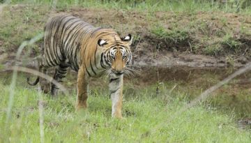 Ecstatic 3 Days Nagpur to Nagziri Tour Package