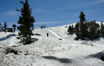 Family Getaway 8 Days New Delhi to Hadimba Temple Weekend Getaways Vacation Package