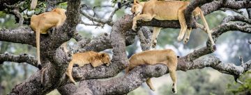 Amazing Boma Road Moshi Kilimanjaro Waterfall Tour Package for 6 Days Amazing Boma Road Moshi Kilimanjaro Waterfall Tour Package for 6 Days