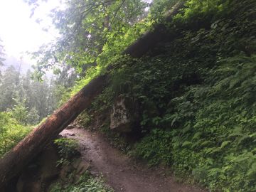 Amazing 2 Days 1 Night Manali Adventure Trip Package