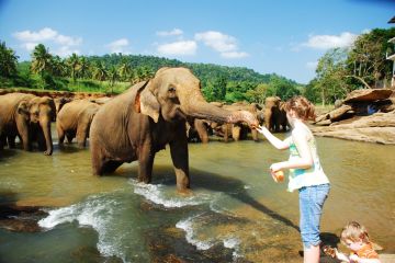 Kandy Beach Tour Package for 5 Days