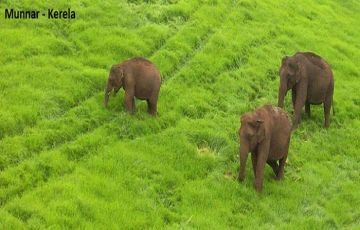 Best 6 Days 5 Nights Munnar Luxury Holiday Package