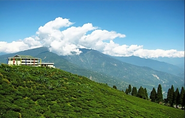 Hill Stations Tour Package for 9 Days 8 Nights