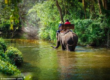 Experience 4 Days 3 Nights Phuket Friends Vacation Package