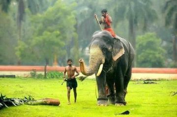 Pleasurable 7 Days Kochi to Alleppey Holiday Package