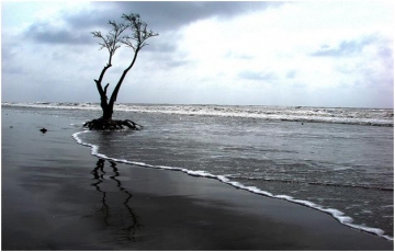 Weekend fun in Henry’s Island