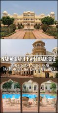 Amazing 3 Days Jaipur to Ranthambhore Fort Historical Places Tour Package