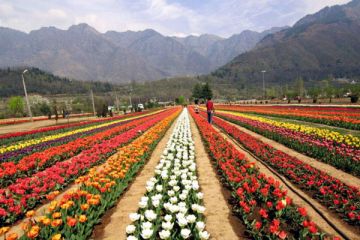 5 Days 4 Nights Srinagar, Pahalgaum and Gulmerg Hill Stations Trip Package