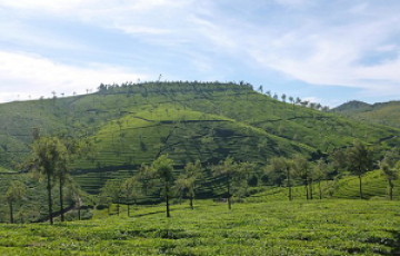 Amazing 8 Days Kochi to Cochin Friends Trip Package