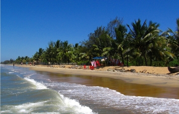 Heart-warming 4 Days CochinMunnarAlleppey Hill Stations Vacation Package