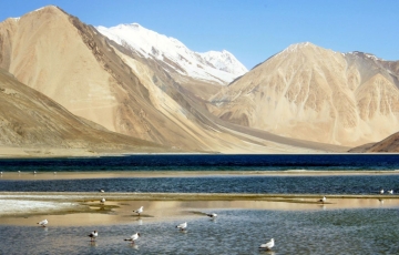 Experience 7 Days Ladakh Hill Stations Holiday Package