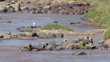 Magical 15 Days Arusha to Ngorongoro Conservation Area Luxury Holiday Package